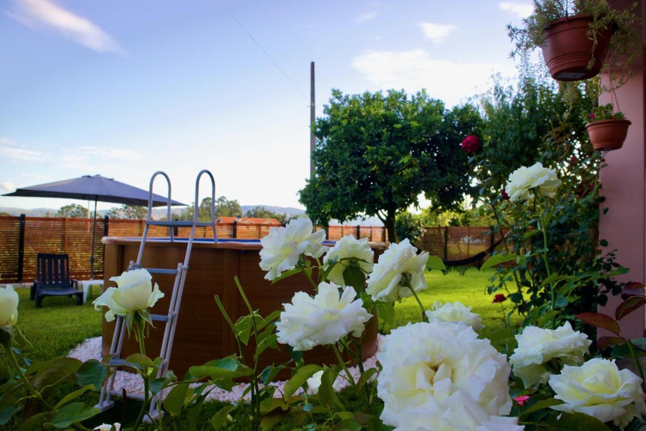 Rosinha Country House Vale de Cambra Esterno foto