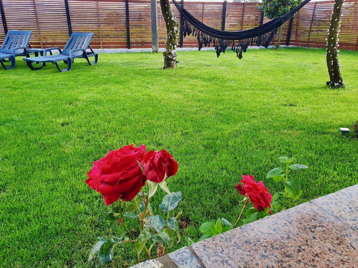 Rosinha Country House Vale de Cambra Esterno foto