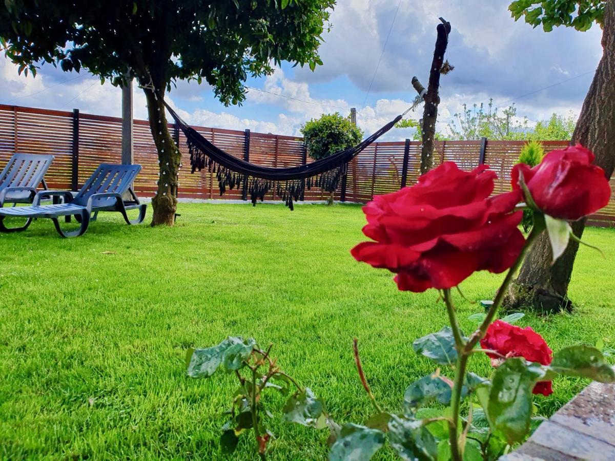 Rosinha Country House Vale de Cambra Esterno foto